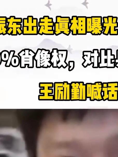 樊振东出走真相曝光!德甲年薪千万+100%肖像权,对比乒超顶薪太残忍!王励勤喊话恐成空