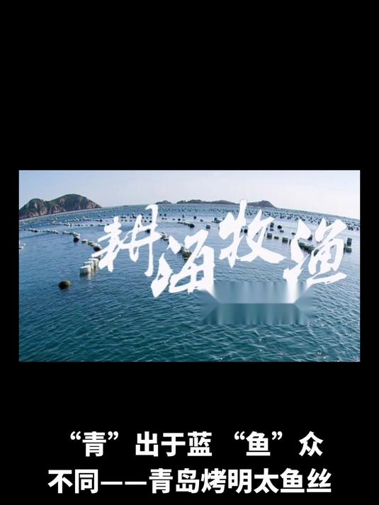 “青”出于蓝,“鱼”众不同,青岛烤明太鱼丝探寻探秘