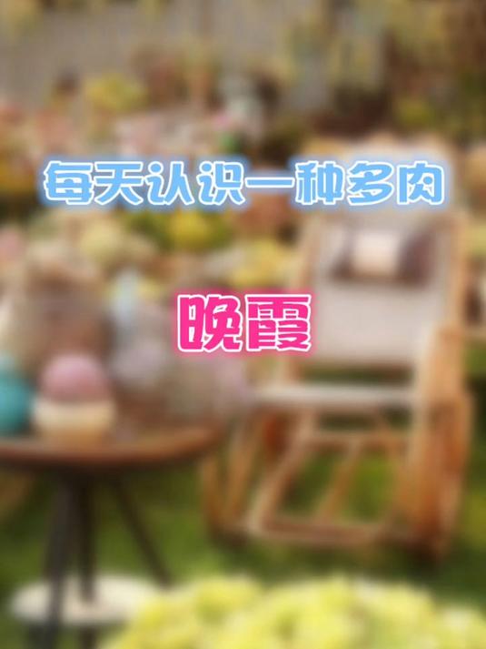 羽安讲多肉:晚霞