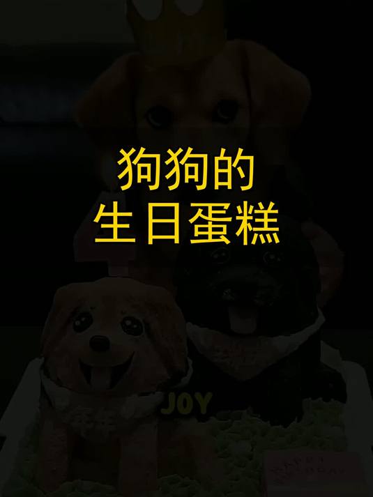 狗狗的生日蛋糕！