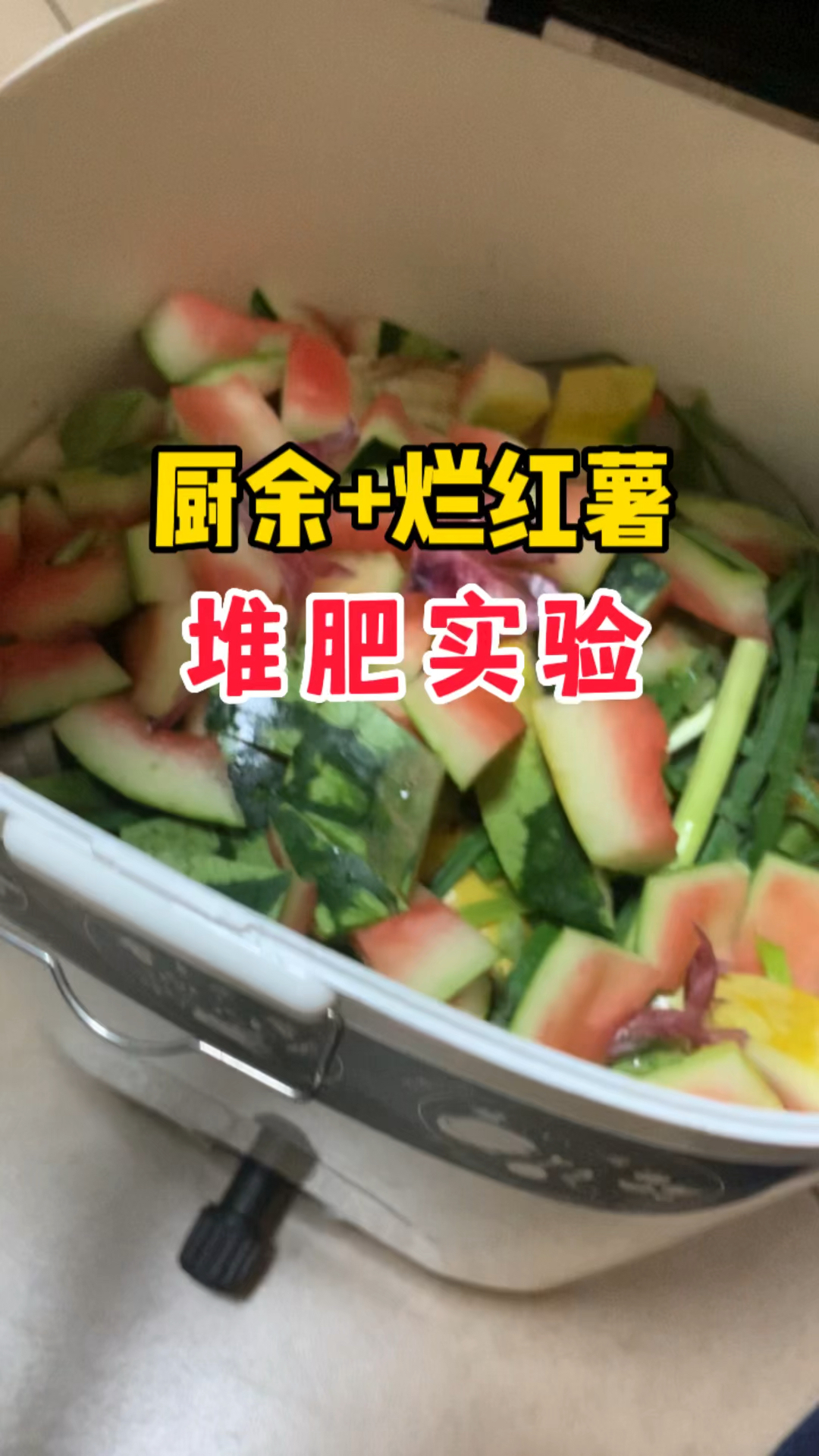 烂红薯和厨余堆肥实验。