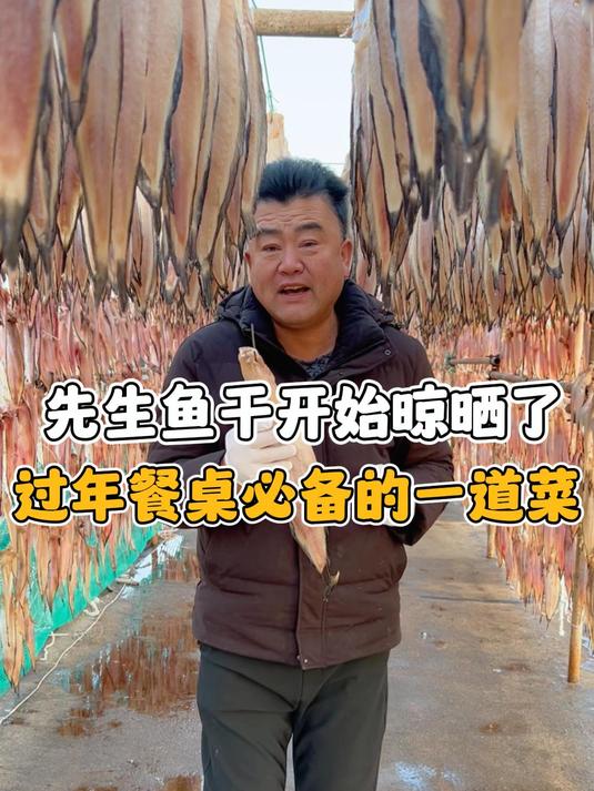 先生鱼开始晾晒啦,咱家的先生鱼去头去内脏,处理的干干净净