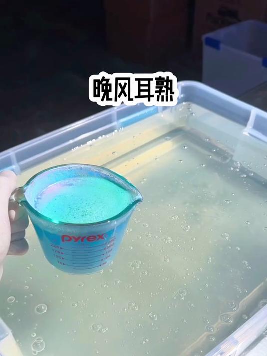 「晚风耳熟」炒鸡好看的小说