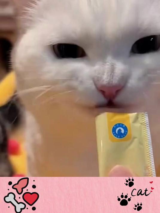 营养满满,猫生鱼油猫条,宠物店新宠儿!