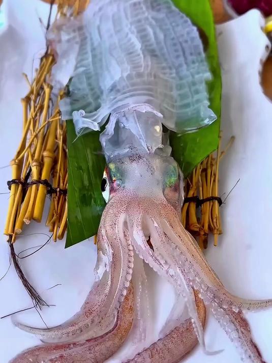 日本人的鱿鱼料理，从处理到送上餐桌，都还是活着的