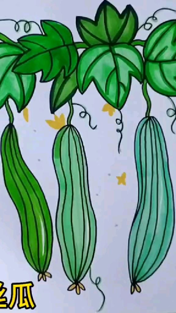 《丝瓜》儿童画,创意简笔画