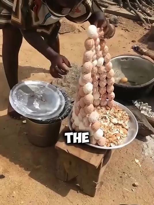 埋藏在土里的巨鸸鹋蛋