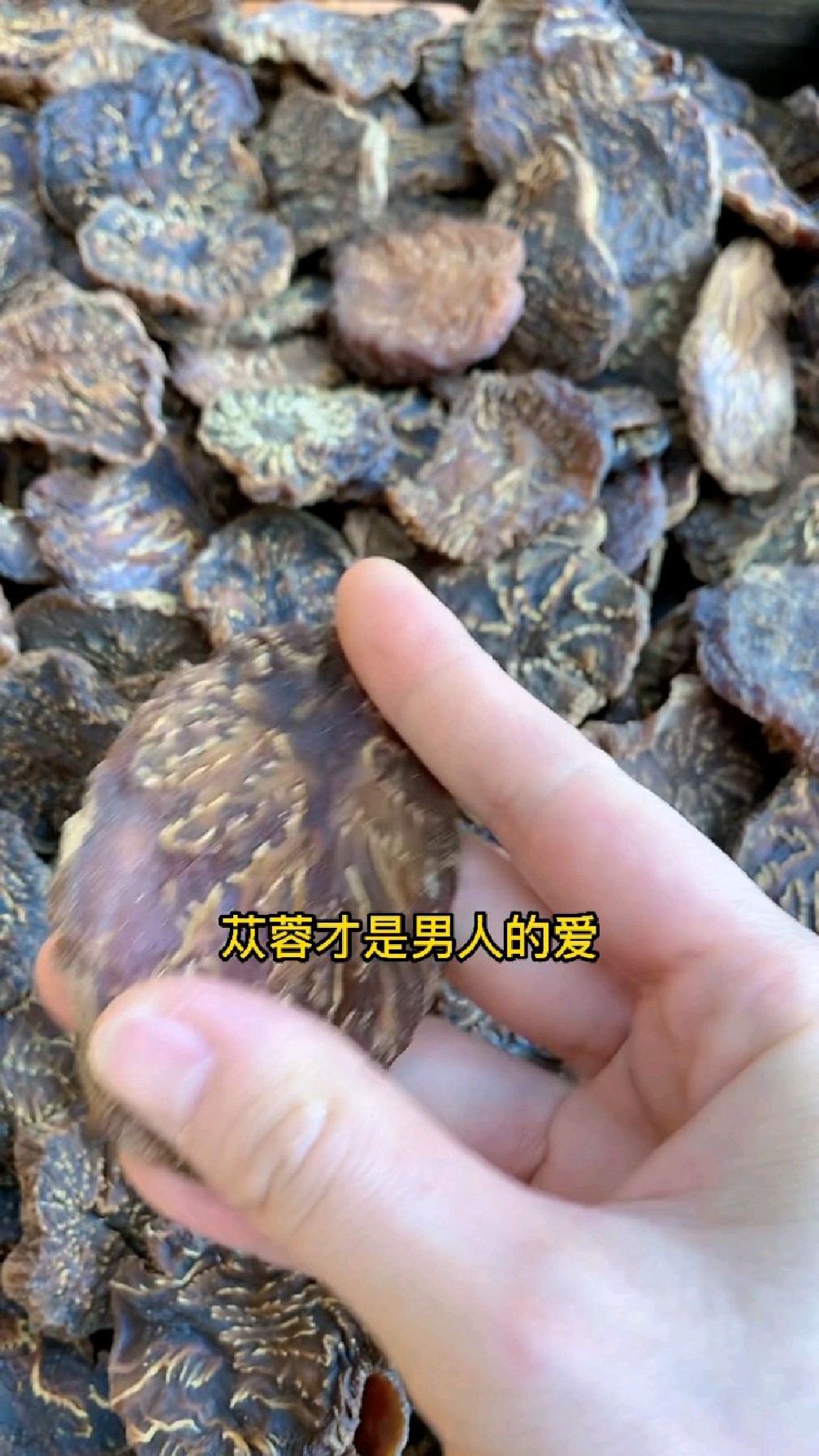 吃上肉苁蓉,男人再也不怕......