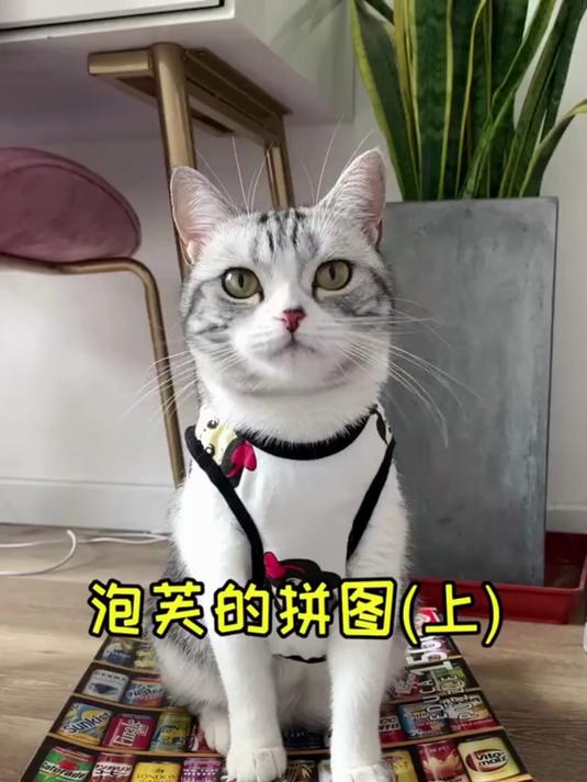 拼图完工啦！带着成果去新家，感谢安生每日关心泡芙