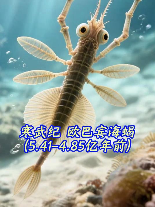 猫的进化史