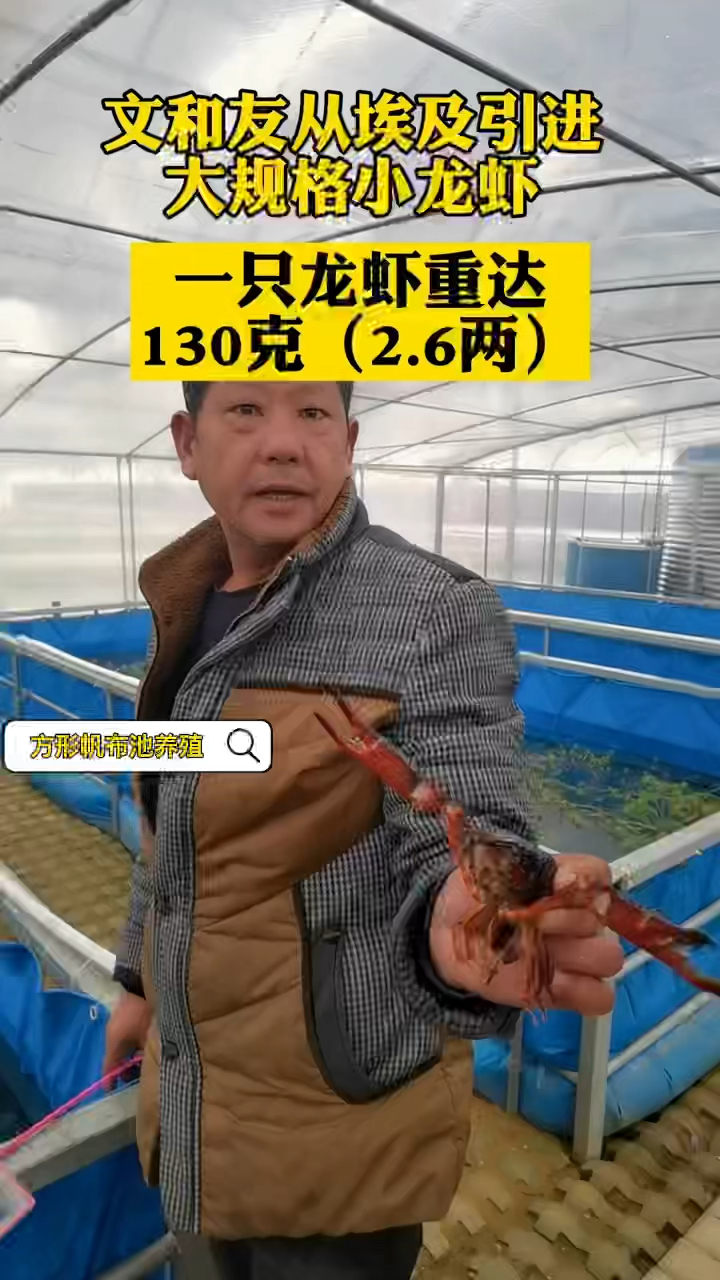方形帆布池养殖小龙虾