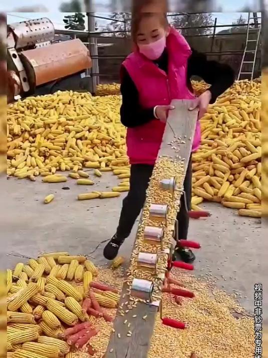 家用小型脱粒机,干玉米脱粒干净,不浪费一粒!