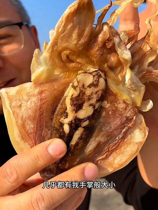 广西北海正宗墨鱼干!煲汤味道鲜美可口!s
