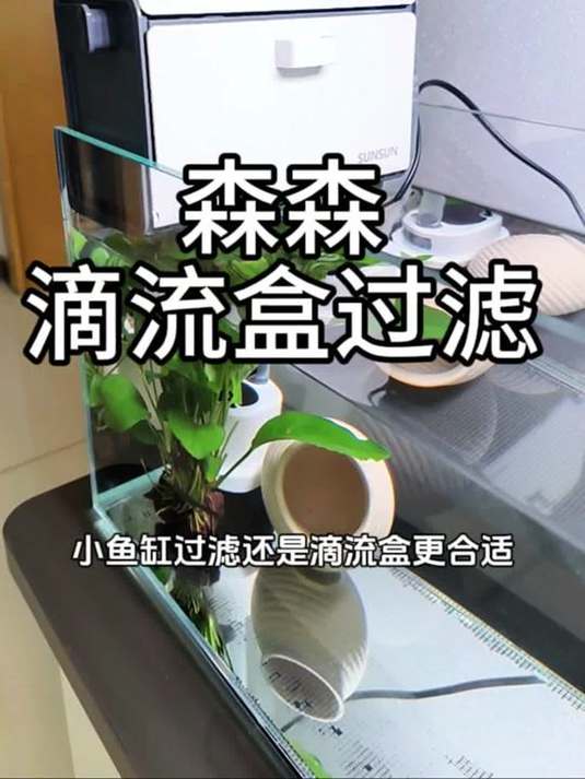 小鱼缸必备顶部过滤盒!干湿分离滴流,静音实用通用