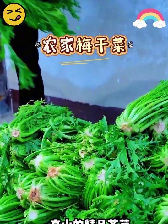 梅干菜扣肉专用 农家自晒无沙免洗