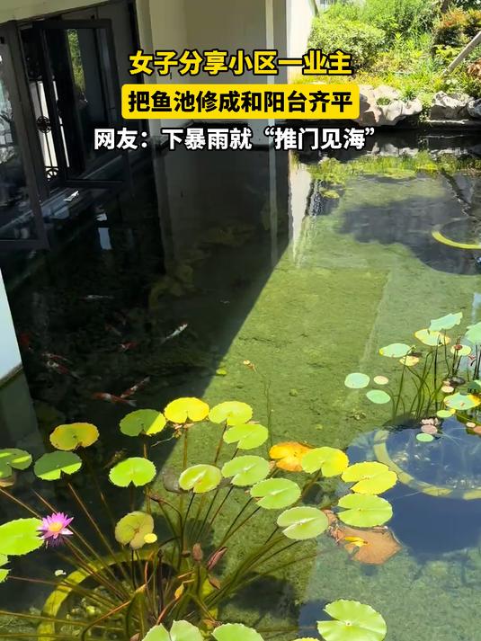 女子分享小区一业主，把鱼池修成和阳台齐平