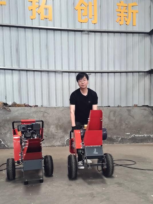 家庭版的小型树枝粉碎机,看两相电轻松粉碎直径3公分树枝料