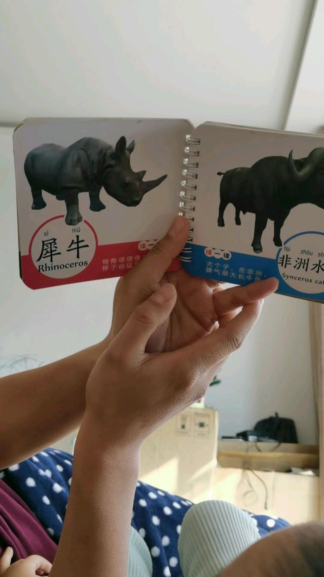 都说男孩说话晚。马上20个月的男孩最多能说四个字连一起的。是个什么水平
