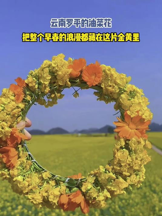 云南罗平的油菜花,把整个早春的浪漫都藏在这片金黄里