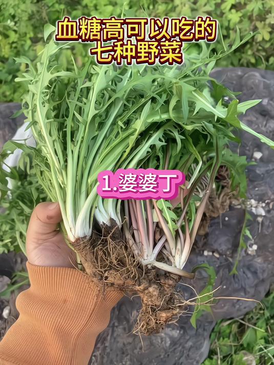 控糖食谱分享,适合糖友控糖的食物