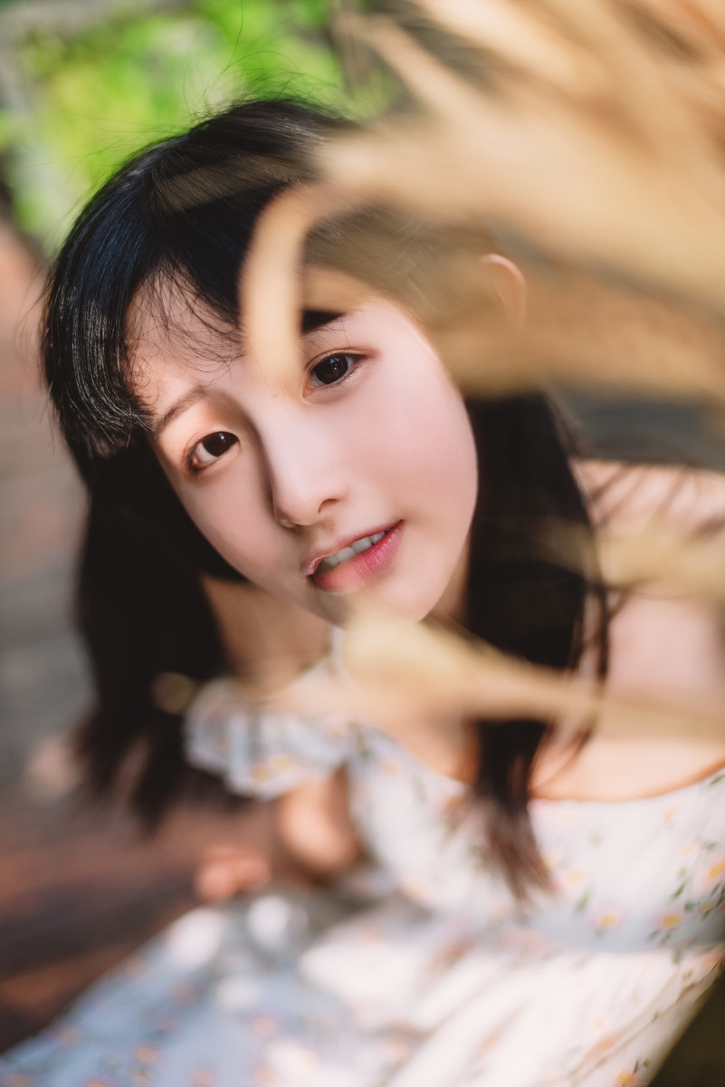 图片[21]-雏菊-六色网