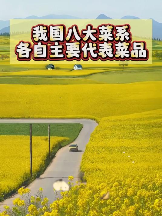 我国八大菜系各自主要代表菜品