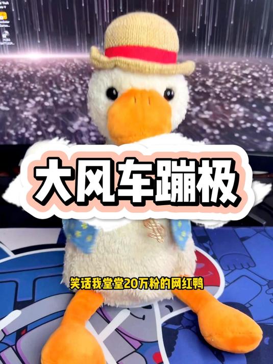大风车蹦极#暴躁老秦##复读鸭##老秦呀#