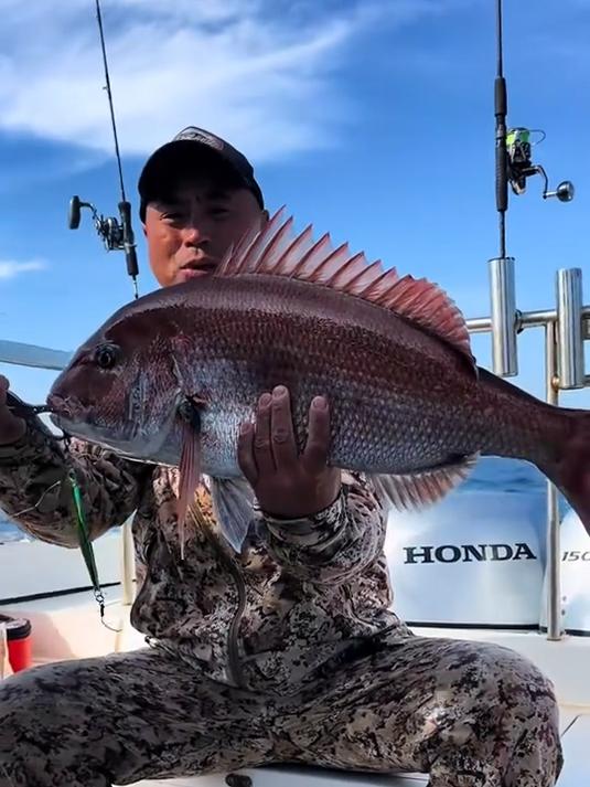 惊喜 惊喜 獐子岛真鲷鱼 真鲷 獐子岛海钓 海钓真鲷