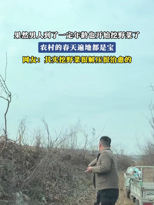 #花满春城我代言#果然男人到了一定年龄也开始挖野菜了，农村的春天遍地都是宝，网友：其实挖野