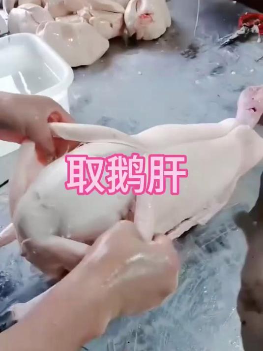 你见过这么大的鹅肝吗