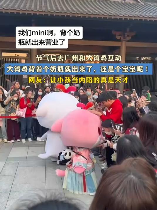节气后去广州和大湾鸡互动,大湾鸡背着个奶瓶就出来了,还是个宝宝呢!#马上就出发#