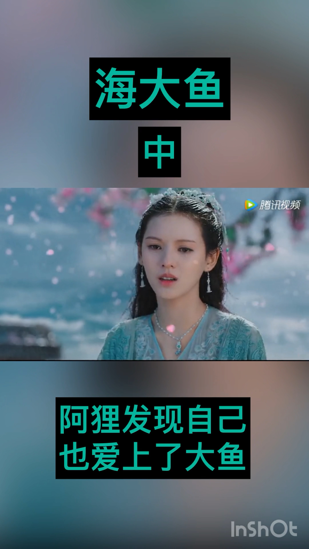阿狸发现自己爱上了大鱼