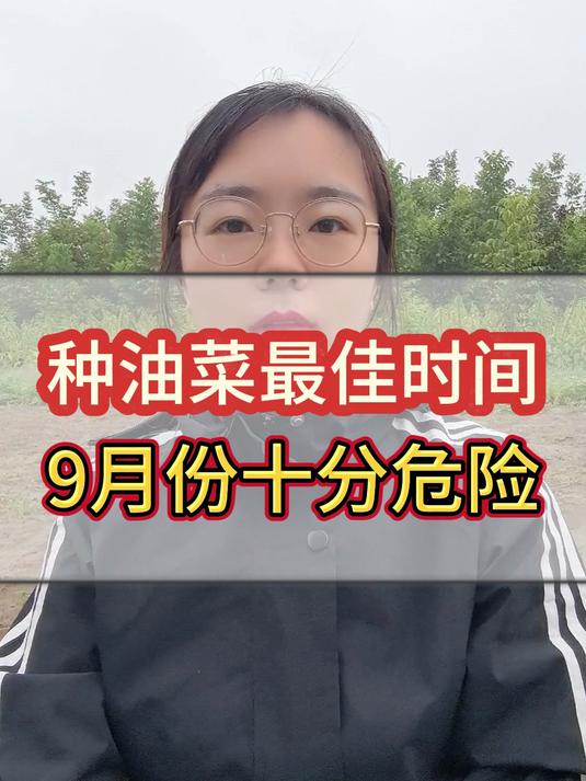 种油菜最佳时间,9月份种植十分危险!