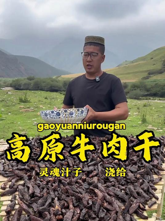 简简单单 高原牛肉干