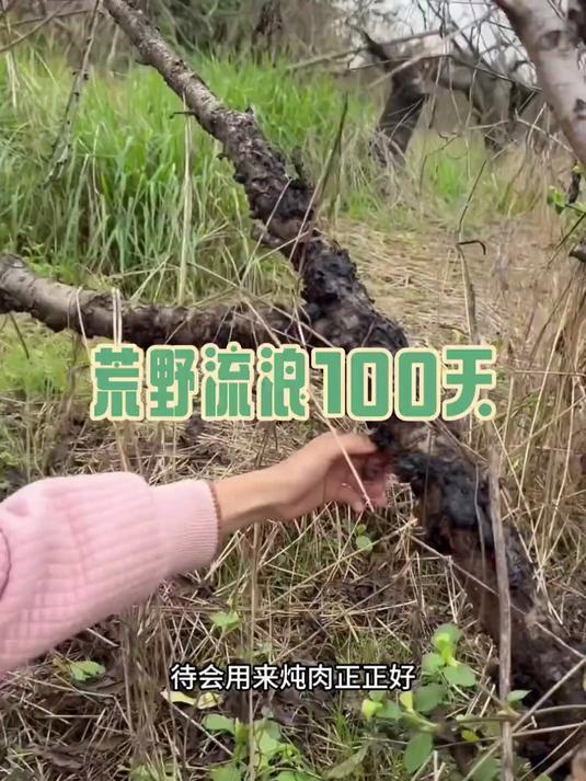 抓鱼工具被人咬坏