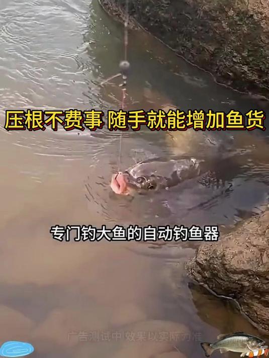 有了这个自动钓鱼地插新手也能上大鱼#自动钓鱼神器#自动钓鱼地插