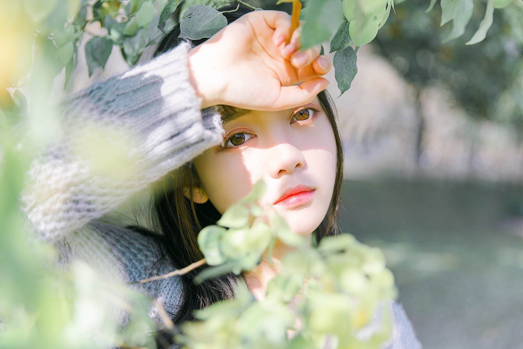 图片[19]-青柠女孩-六色网