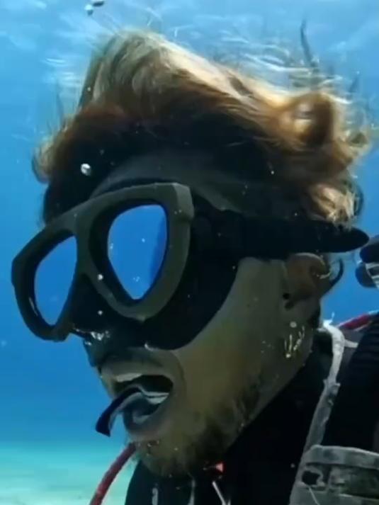 不可思议的海底清洁工