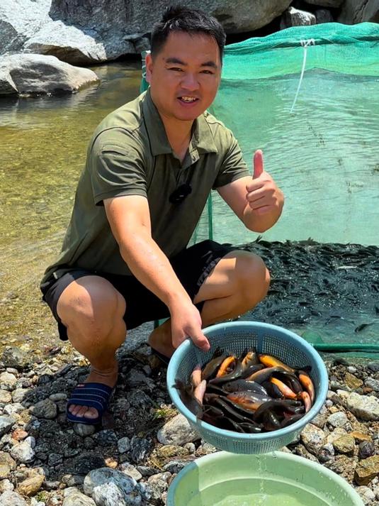 今天又买了100斤鱼苗来河边放流，希望不要再被洪水冲走了