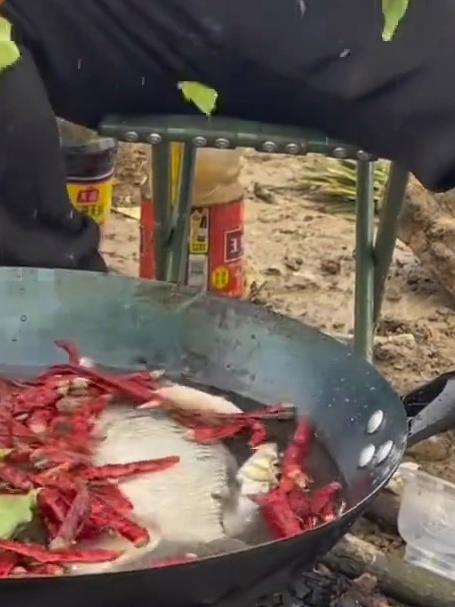 野外生活第五天,昨天收获了好多鱼,今天就拿来做红烧鱼吃吧