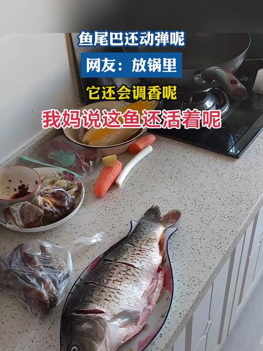 鱼尾巴还动弹呢 网友:放锅里它还会调香呢