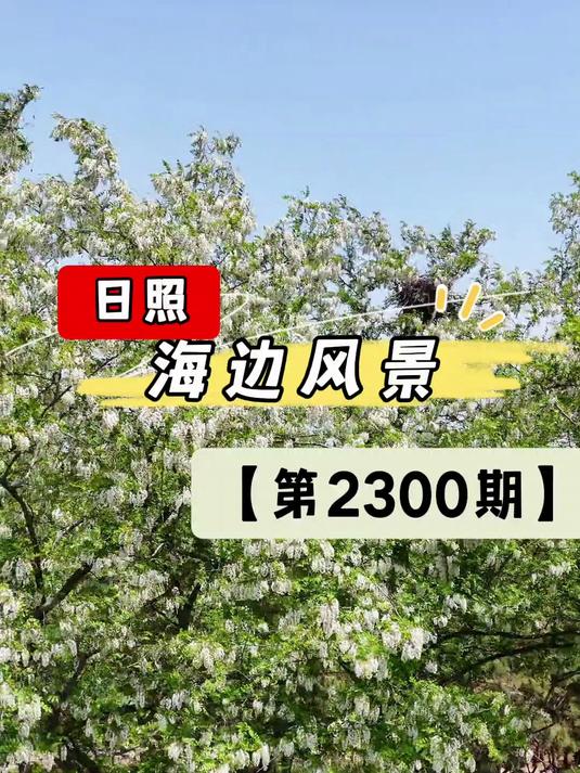 美景视频随拍!日照海边风景真好看!(第2300期)