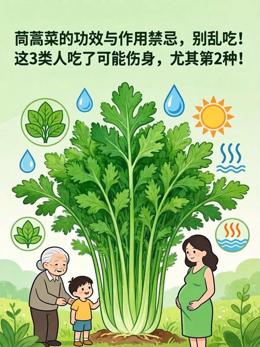 茼蒿菜的功效与作用禁忌,别乱吃!这3类人吃了可能伤身,尤其第2种!