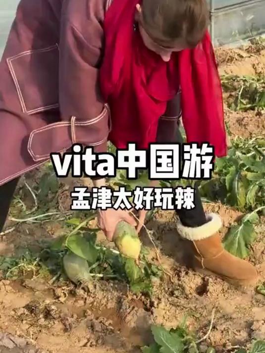 老外都震惊啦!在洛阳七八年怎么才发现这么宝藏的地方