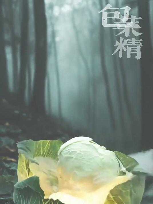山海经记载 包菜成精