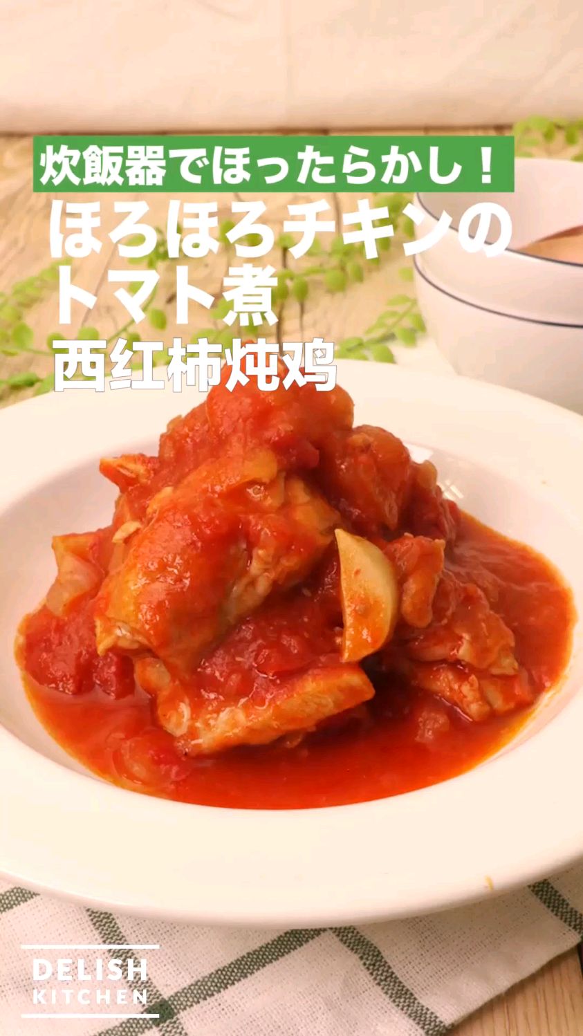 西红柿炖鸡 西餐快手菜食谱