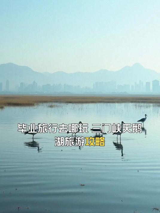 三门峡天鹅湖旅游攻略,毕业旅行好去处