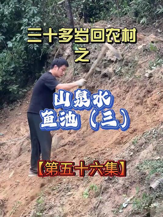 为了打造山泉水鱼池，我手搓了100个平方的山坡 我要把山坡改瀑布