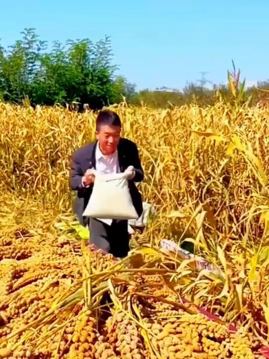 真空脱水土力分离技术,特殊环境营养供给方案