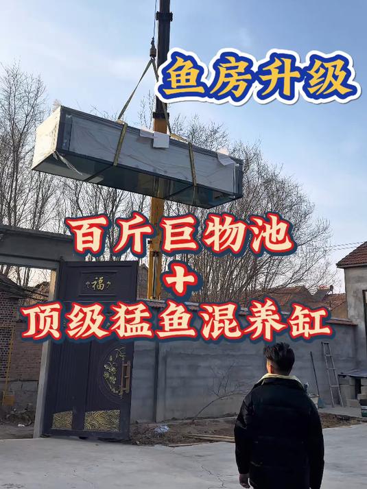 鱼房整体改造,先迎接顶级混养缸,再迎接300斤巨物#养鱼日记 #巨骨舌鱼 #鱼缸 #猛鱼混